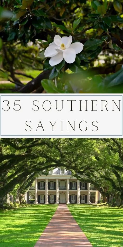 Explore 35 of the best Southern sayings, from timeless phrases to drawlin' proverbs. Savor sweet tea wisdom and Dixie expressions capturing Southern charm. Dive into the rich tapestry of Southern dialect gems, embracing the warmth of folk sayings. Let these quotes add hospitality and grace to your day. Immerse yourself in the soulful world of Southern slang and charm words. Whether a true Southerner or captivated by Dixie language, these expressions bring a smile. Southern Phrases. Things Only Southern People Say, Southern Words And Phrases, Southern Hospitality Quotes, Southern Love Quotes, Old Southern Sayings, Southern Sayings Quotes, Southern Slang Sayings, Country Slang Southern Sayings, Southern Sayings Deep South