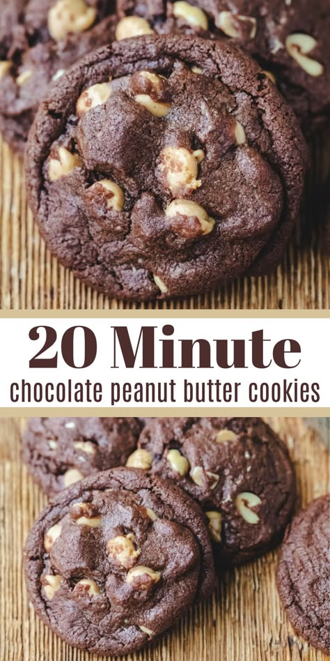 Chocolate Peanut Cookies Recipes, Chocolate Cookies With Peanut Butter Morsels, Chocolate Cookies With Peanut Butter Chips, Chocolate Peanutbutter Cookies, Peanut Butter Chocolate Cookies Recipe, Chocolate Pb Cookies, Easy Chocolate Cookies, Chocolate Peanut Butter Chip Cookies, Chocolate Cookie Recipes Easy