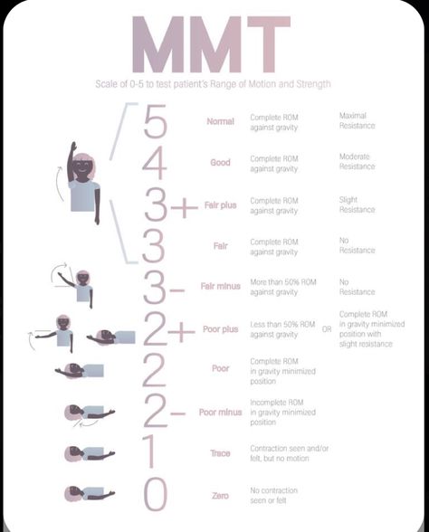 Muscle Chart, Limb Anatomy, Activities Adults, Nbcot Exam, Occupational Therapy Schools, Geriatric Occupational Therapy, Physical Therapy School, Therapy Fun, Physical Therapy Student