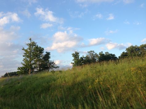 Good Bedtime Stories, Future Farms, Italy Summer, Northern Italy, Plant Mom, Find Beauty, Pretty Places, My Happy Place, Happy Places