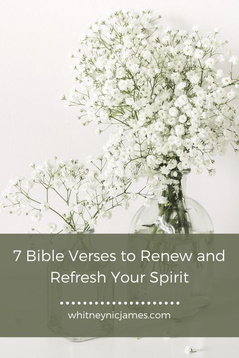 7 Bible Verses to Renew and Refresh Your Spirit Refresh Bible Verse, Restoration Scriptures, Refresh Quotes, Bible Verse List, Faith Verses, Prayer For Peace, Christ The Redeemer, Womens Retreat, Women's Ministry