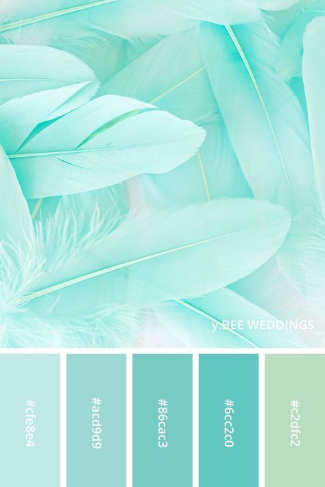 Mint Turquoise Color Palette, Light Mint Color Palette, Turquoise Palette Color, Aqua Marine Color Palette, Sea Green Color Combinations, Color Palette Mint Green, Fresh Colour Palette, Light Blue Colour Combination, Blue Birthday Photoshoot