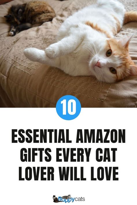 Check out these 10 must-have Amazon that'll be perfect for this holiday gift! From cat-themed home decor and cat gadgets to practical pet care items, this list has something for every cat parent. Discover unique and thoughtful gifts that will make them purr with joy. Cat Gadgets, Large Cat Breeds, Gifts For Cat Lovers, Litter Mat, Cat Christmas Gift, Cat Food Bowl, Cat Themed Gifts, Cat Lover Shirt, Cat Parenting