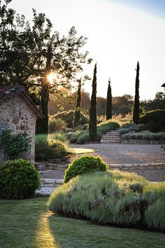 Mediterranean Garden Design, Tuscan Garden, Mediterranean Landscaping, Dry Garden, Umbria Italy, Aesthetic Garden, Sun Setting, Stone Garden, Italian Garden