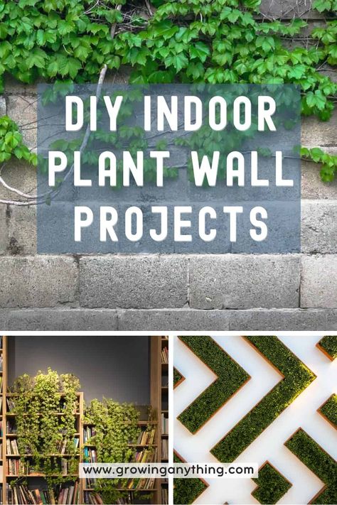 18 DIY Indoor Plant Wall Projects: Easy, and Effective Decoration Plant Wall Indoor Diy, Live Plant Wall Indoors, Live Green Wall, How To Make A Plant Wall, Wall Planters Indoor Diy, Diy Living Wall Indoor, Diy Plant Wall Indoor, Diy Wall Planter Indoor, Plant Feature Wall