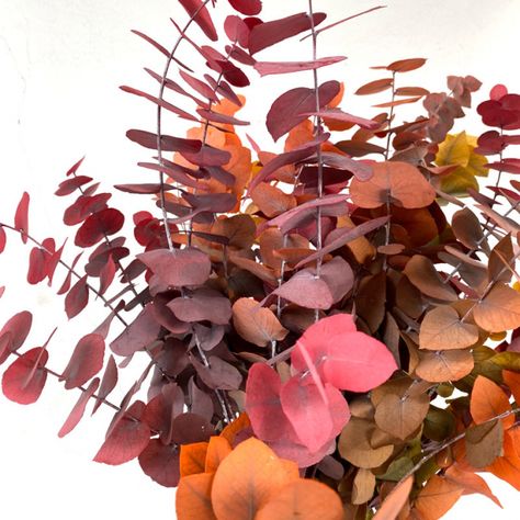 Feuillage eucalyptus teinté à petit prix - livraison feuillages Eucalyptus Bouquet, Feuille Eucalyptus, Inspiration Nature, Source Of Inspiration, Autumn Inspiration, Floral Art, Real Weddings, Grapes, Diy Projects