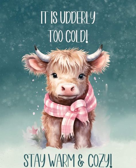 Good Night Cold Weather Quotes, Good Morning Cold Day Winter, Stay Warm Quotes, Funny Cold Weather Quotes, Cold Humor, Cold Weather Funny, Encouragement Box, Winter Good Morning, Cold Weather Quotes