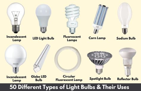 light electric name - Google Search Types Of Lights, Illumination Light, Different Light Bulbs, Mercury Lamp, Compact Fluorescent Lamps, Incandescent Light Bulb, Incandescent Light, Electric Lamp, Electromagnetic Radiation