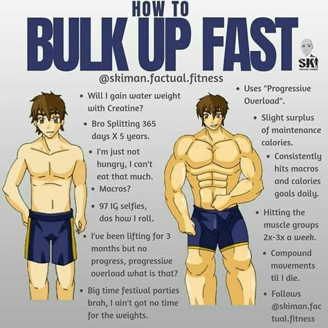 Bodybuilding Wellness, Trening Sztuk Walki, Muscle Building Tips, Gym Workout Chart, Workout Routine For Men, All Body Workout, Muscle Building Workouts, Weight Training Workouts, Bulk Up