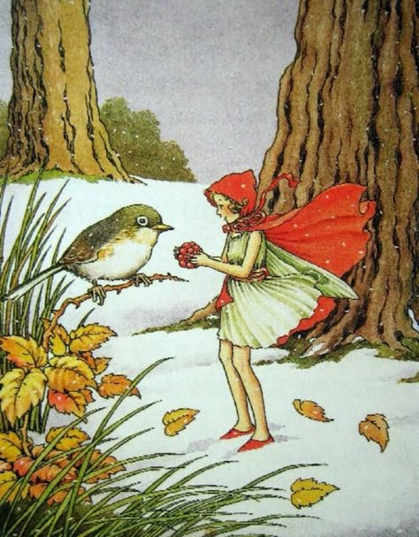 The Winter Fairy Came in the Snow ~ Ida Rentoul Outhwaite Bird Sparrow, Illustration Kunst, Postcard Vintage, Fairy Illustration, Snow Fairy, Fairy Pictures, Cicely Mary Barker, Winter Fairy, Snowy Forest