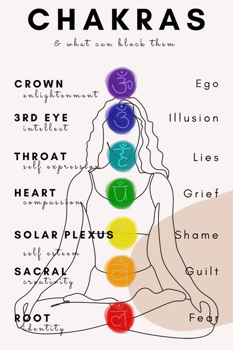 Yoga therapy and the chakras. An yogi seated showing the position of the chakras in colour as a diagram. What Is A Chakra, Chakra Diagram, Chakra Emotions, Reiki Business Ideas, Yoga Psychology, Which Chakra Is Blocked, What Is Chakra, Kundalini Chakra, Creating A Journal