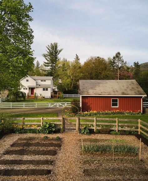 Houses On Farms Land, Future House Farm, Corn Farm Aesthetic, Farmhouse Vibes Aesthetic, Farmhouse Cottage Landscaping, Dream Yard Country Living, House In Open Field, Homestead Woman Aesthetic, Cottage On A Farm