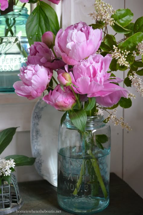 Vase Of Peonies, Flower In Jar, Vintage Outdoor Decor, Flowers In A Jar, Flower Jar, Beautiful Peonies, Planting Peonies, Flowers To Paint, Big Vases