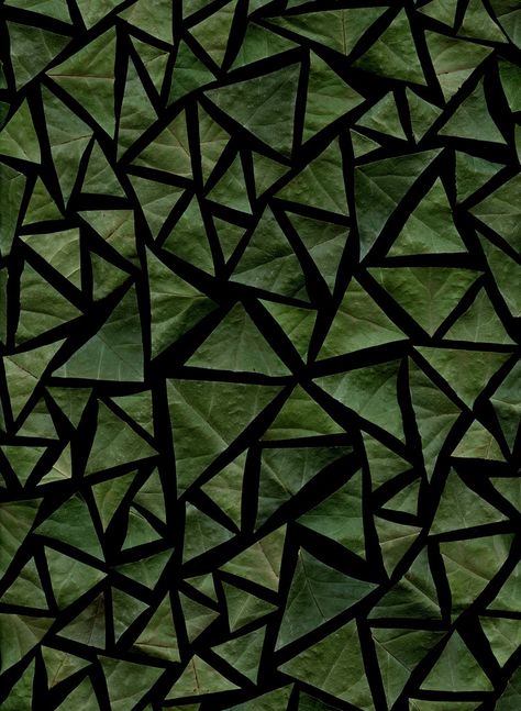 Triangle leaves Triangles In Nature, Triangle Aesthetic, Green Triangle, Texture Photography, Textiles Techniques, Simple Green, Geometric Triangle, Triangle Pattern, Shape And Form