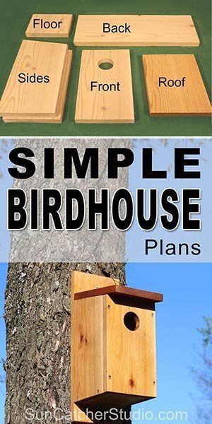 Simple Birdhouse, Build A Birdhouse, Bird House Plans Free, Birdhouse Plans, Bird Feeder Plans, Homemade Bird Houses, Nuthatches, Bird Houses Ideas Diy, Bluebird House