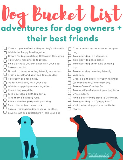 Humans have a bucket list, so why not have one for you and your dog to enjoy together?  Here is a FREE Dog Bucket List that you can print and decide on your adventures.  How many have you already completed? Dog Bucket List, Puppy Bowls, Training Ideas, Cairn Terriers, Dog Enrichment, Dog Facts, Airedale Terrier, Dog Care Tips, Puppy Care