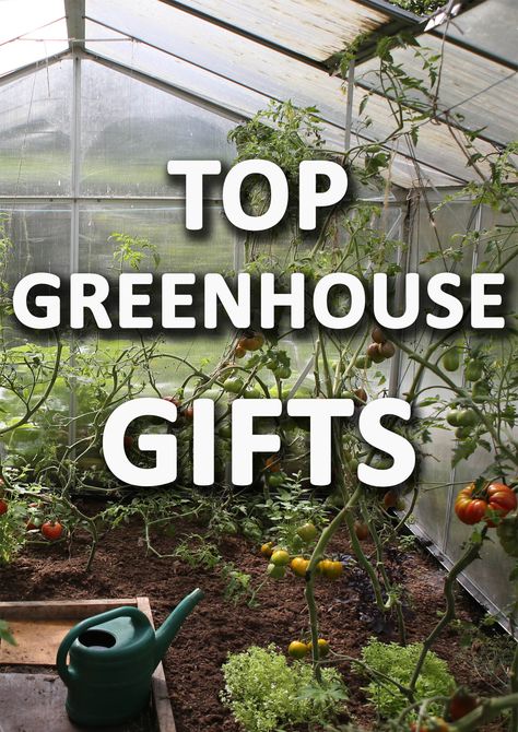 Greenhouse gardening is a subject all to itself in the garden. The greenhouse gardener can grow exotic plants in summer as well as some plants in winter. Once a gardener has entered the world of greenhouses it can be difficult to ever go back. This is why searching for gardening gifts for greenhouse gardeners can be a whole different animal. For this reason we have put together some of the top greenhouse gifts for gardeners here. Decorate Greenhouse, Green House Storage Ideas, How To Decorate A Greenhouse, Greenhouse Planting Ideas, Garden Must Haves, Greenhouse Must Haves, Greenhouse Storage Ideas, Greenhouse Accessories, What Can You Grow In A Greenhouse