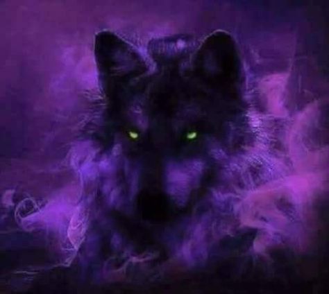 Fantasy Wolf, Wild Animals Pictures, Dark Purple Aesthetic, Wolf Spirit Animal, Wolf Wallpaper, Beautiful Wolves, Wolf Spirit, Beautiful Art Pictures, Occult Art