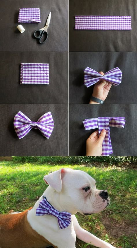 Dog Hacks Diy, Make A Dog Collar, Katt Diy, Diy Dog Collar, Dog Collar Bows, Dog Collar Bow Tie, Dog Projects, Dog Crafts, Dog Hacks