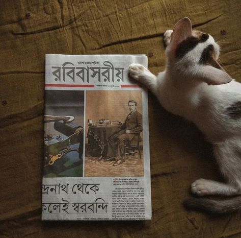 aesthetic bookstagram pictures reader reading community newspaper bengali aesthetic cute animals cats dark academia sunday morning Desi Dark Academia Aesthetic, Bookstagram Pictures, Bengali Aesthetic, Aesthetic Bookstagram, Collage Pieces, Thought Daughter, Cat Dark, Desi Aesthetics, Mood Wallpaper