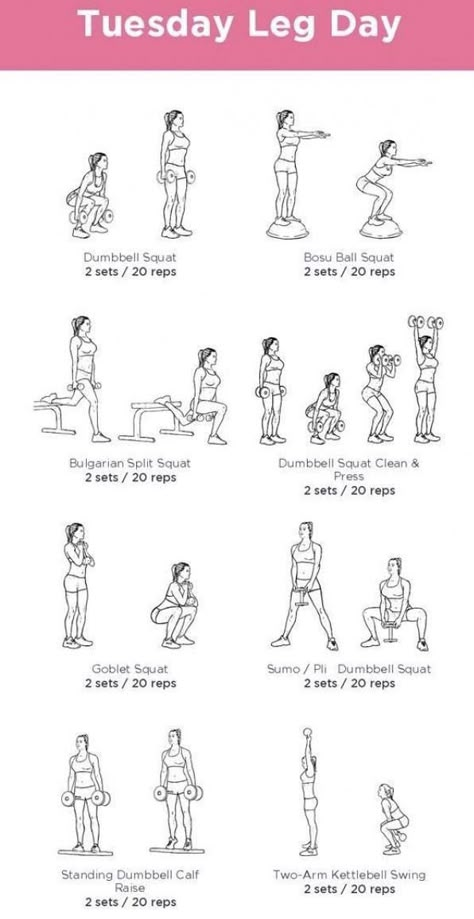 Workout Bench Leg Exercises, Weightlifting Leg Workout, Leg Muscle Workout At Home, Leg Day Free Weights, Leg And But Work Out, Legs Day Workout At Home, Leg Workout For Beginners Gym, Leg Day Weights, Leg Free Weight Workout