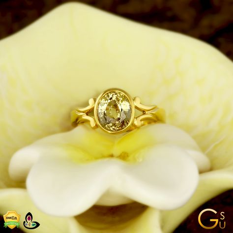 GIA Certified Yellow Sapphire set in a Gold Ring from the Gemstoneuniverse collection of fine Jyotish Gemstones Pushparagam Stone Ring Designs, Pushyaragam Stone Rings, Yellow Saffire Ring For Women, Kanakapushyaragam Ring Designs, Yellow Sapphire Ring Designs, Yellow Stone Rings For Women, Yellow Saffire Ring, Pukhraj Ring Design For Women, Yellow Sapphire Ring Gold Women