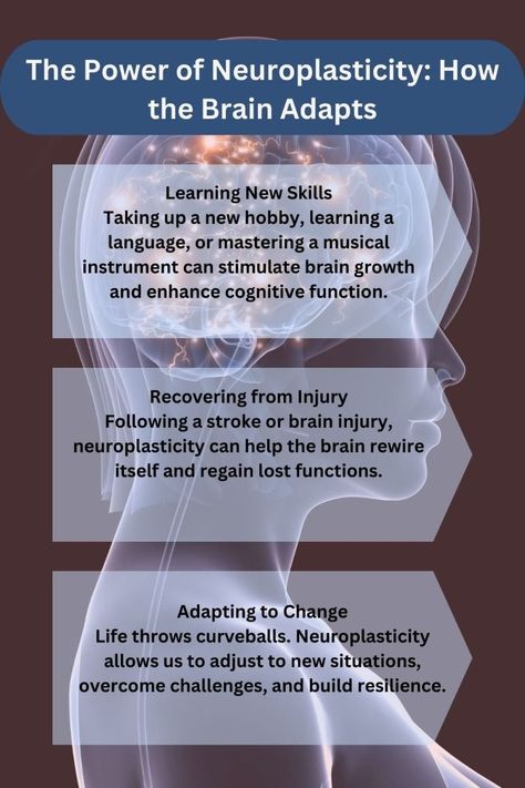 Did you know your brain can rewire and adapt throughout life? Discover how neuroplasticity can help you boost memory, sharpen focus, and enhance cognitive function. From trying new hobbies and learning skills to meditation and physical exercise, explore simple ways to unlock your brain's full potential at any age!  #Neuroplasticity #BrainTraining #MentalFlexibility #HealthyMind #PersonalGrowth #SelfImprovement #LifelongLearning #CognitiveHealth_ #BrainFog #BrainFogRemedies #mentalhealth #nootropics #BrainFogCure #BrainFogTreatment Brain Rewiring, Neuroplasticity Exercises, Healthy Watermelon Smoothie, Brain Fog Remedies, Supplements For Hair Growth, Supplements For Skin, Good Vitamins For Women, Take Supplements, Lower Cortisol