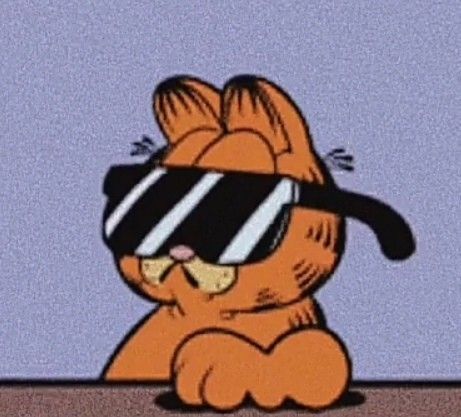 Orange Cat, A Cartoon, Sunglasses, Orange