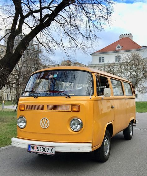 Combi Vw, My Space, Vw Bus, Bay Window, My Dream, Volkswagen, Audi, Cars, Vehicles