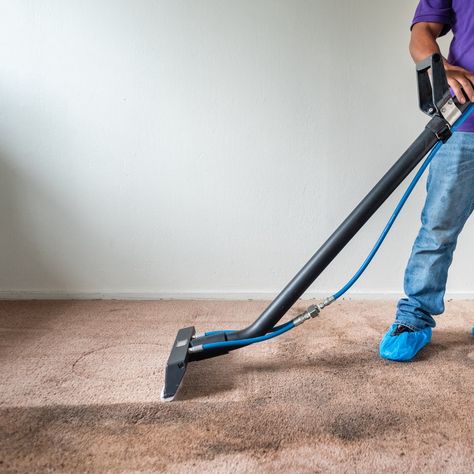 Rug Cleaning Services EL Cerrito House Carpet, Aladdin Magic Carpet, Affordable Carpet, Carpet Repair, Affordable Rugs, Professional Carpet Cleaning, Carpet Cleaning Service, Cleaning Company, Types Of Carpet