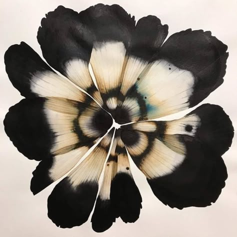 Stephen Doherty, Flor Tattoo, Frida Art, Academic Drawing, Black And White Flower, Flower Icons, Nothing But Flowers, White Flower, Pressed Flowers