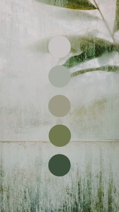 Eucalyptus Color Palette, Eucalyptus Color, Rainbow Eucalyptus, Brand Messaging, Biophilic Design, Brand Color Palette, Palette Inspiration, Brand Studio, Emotional Wellbeing