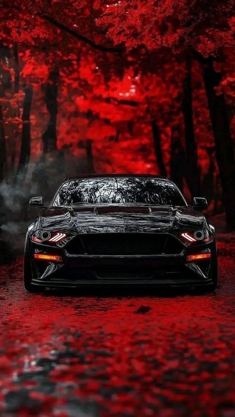 Ford Mustang Wallpaper, Cars Pictures, Tokyo Drift Cars, Mustang Wallpaper, Ford Mustang Car, Pimped Out Cars, Cool Car Pictures, Car Chevrolet, Car Wallpaper