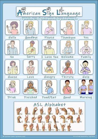 PRICES MAY VARY. American Sign Language - ASL- 20 Basic Signs most commonly used, alongside the Alphabet Size - 23.3 x 16.5cm Printed onto high quality poster paper and laminated for extra durability. This poster includes 20 Basic Signs most commonly used, alongside the Alphabet and is a colourful, informative way of learning basic ASL.  Size - 23.3 x 16.5cm. Printed onto high quality poster paper and laminated for extra durability. Basic Asl, Asl Alphabet, Hello In Languages, Selective Mutism, Abc Print, Sorry My Love, Sign Language Alphabet, Tv Ideas, Free Preschool Worksheets