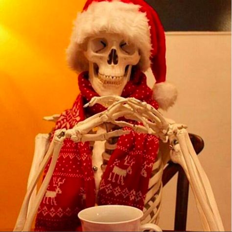 Elf Memes, Skeleton Pics, Christmas Profile Pictures, Christmas Meme, Skeleton Christmas, Christmas Memes, Cute Christmas Wallpaper, Funny Skeleton, A Skeleton