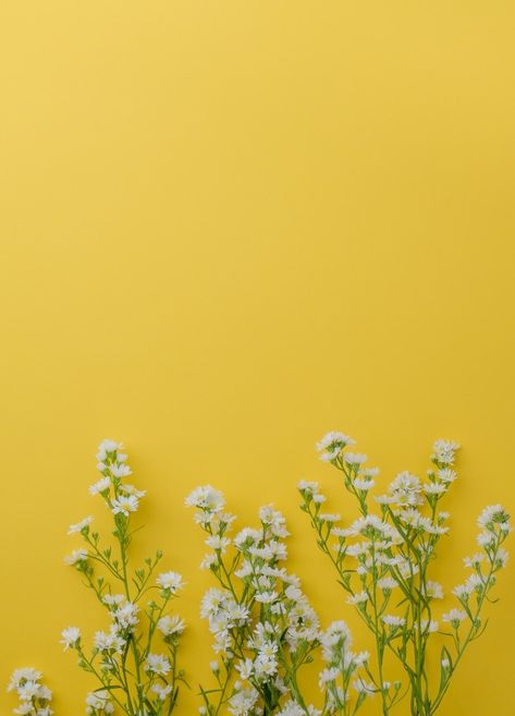 Cute little white cutter flowers on yell... | Premium Photo #Freepik #photo #background #floral #abstract #flower Pastel Yellow Wallpaper Iphone, Pastel Yellow Wallpaper, Yellow Wallpaper Iphone, Yellow Aesthetic Pastel, Aesthetic Yellow, Sunset Background, Flower Background Wallpaper, Yellow Wallpaper, Yellow Aesthetic