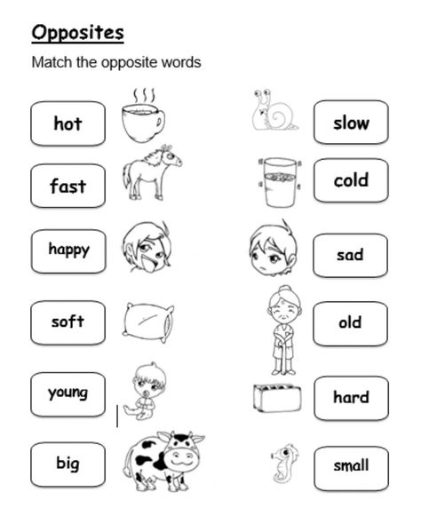 Match The Opposites Worksheet, Opposites Worksheet For Grade 2, Opposites Worksheet Grade 1, Opposite Words For Kids, Opposites For Kids, Opposites Preschool, Opposites Worksheet, Cvc Word Activities, Adjective Worksheet