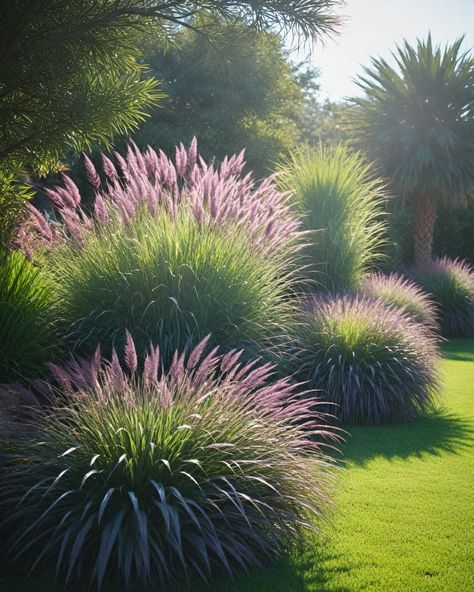 9 Best Ornamental Grasses For Full Sun Spiky Plants For Garden, Ornamental Grass Hedge, Landscaping With Grasses And Rocks, Sea Grass Landscaping, Ornamental Grasses Full Sun, Full Sun Landscaping Ideas, Landscaping With Ornamental Grasses, Ornamental Grasses For Shade, Decorative Grasses