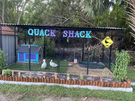 Duck pen with garden in front Mess Free Duck Pen, Duck Coop Ideas Backyards, Diy Duck Enclosure, Backyard Livestock, Duck Enclosure Ideas, Duck House Diy, Quack Shack, Duck Enclosure, Duck House Plans