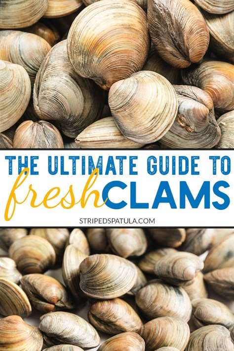 Love fresh clams? Learn everything you need to know about buying, cleaning, and storing clams, plus delicious recipe ideas, with this comprehensive guide. #clams #seafood How To Cook Clams, How To Clean Clams, Fresh Clams, Fried Clams, Steamed Clams, Clam Sauce, Seafood Pasta Recipes, Shellfish Recipes, Clam Recipes