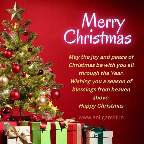 Merry Christmas Phrases, Merry Jane, Merry Christmas Message, Merry Christmas Quotes, Happy Merry Christmas, Merry Christmas Images, Merry Christmas Wishes, Merry Christmas Greetings, Christmas Messages