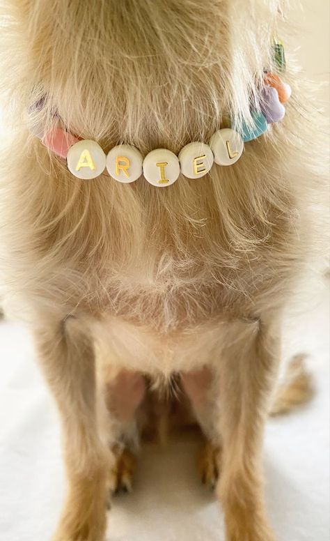 Dog collar bows