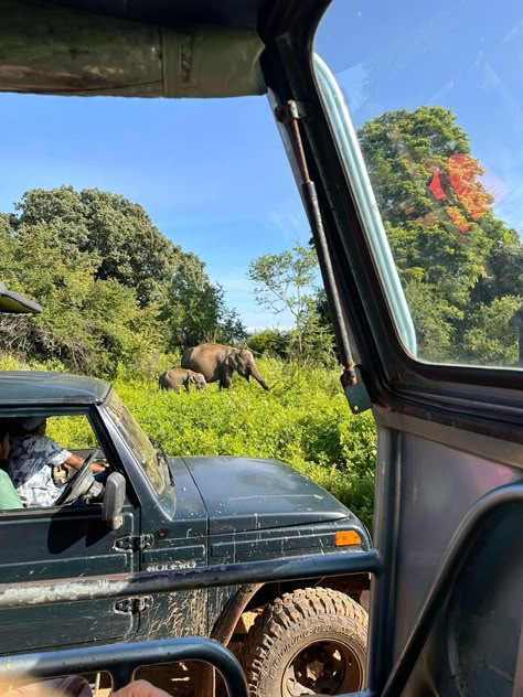 Up close with the gentle giants of Udawalawe! A safari here is more than just a wildlife experience but it's a chance to witness the beauty and grace of elephants in their natural habitat. #srilankatourism #travelsrilankawithus #travelsrilanka #summervacation #wintervacation #srilanka #DiscoverSriLanka #VisitSriLanka #ExploreSriLanka #srilankatravel #greenholiday #TravelGoals #tailormadetours Travel Aesthetic Sri Lanka, Swaziland Aesthetic, Sri Lanka History, Sri Lanka Hikkaduwa, Sri Lanka Elephants, Sri Lanka Aesthetic Outfit, Sri Lanka Safari, Hikkaduwa Sri Lanka, Africa Safari Aesthetic