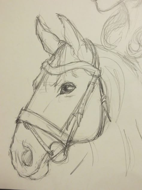 Horse Drawing Tutorial, Horse Art Drawing, Horse Sketch, Animal Drawings Sketches, Majestic Creatures, Horse Drawings, Horse Drawing, Easy Drawings Sketches, Art Drawings Sketches Creative