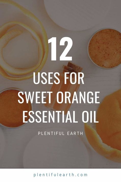 Sweet Orange Essential Oil Blends, Sweet Orange Essential Oil Benefits, Orange Oil Uses, Orange Essential Oil Uses, Orange Oil Benefits, Orange Essential Oil Benefits, Orange Essential Oil Blends, Orange Cleaner, Essential Oils For Nausea