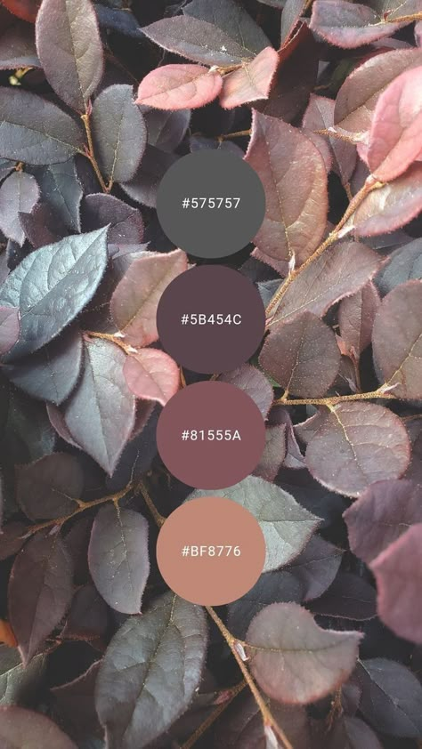 Visuell Identitet, Color Schemes Colour Palettes, Colour Ideas, Color Palette Design, Color Inspo, Colour Board, Plum Purple, Paint Colors For Home, Decor Living Room