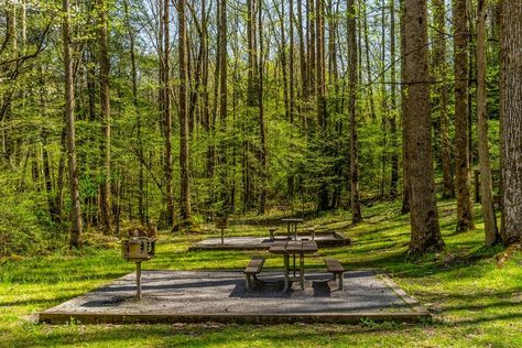 Fern Valley, Forest Project, Farmhouse Yard, Gatlinburg Vacation, Abandoned Amusement Park, Camping Site, Game Area, Smoky Mountains Vacation, City Inspiration