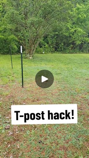 13K views · 328 reactions | #homestead #farmlife #hack #farmhack #gardenhack #tposts #worksmarternotharder #farmtok #farm | Homesteading Tips | Homesteading Tips · Original audio Diy Farm Hacks, Farming Tips And Tricks, How To Build A Pasture Fence, Farm And Ranch Hacks, Farm Garden Ideas, Winter Farm Hacks, Homestead Hacks, Homesteading Diy Projects, Farm Landscaping