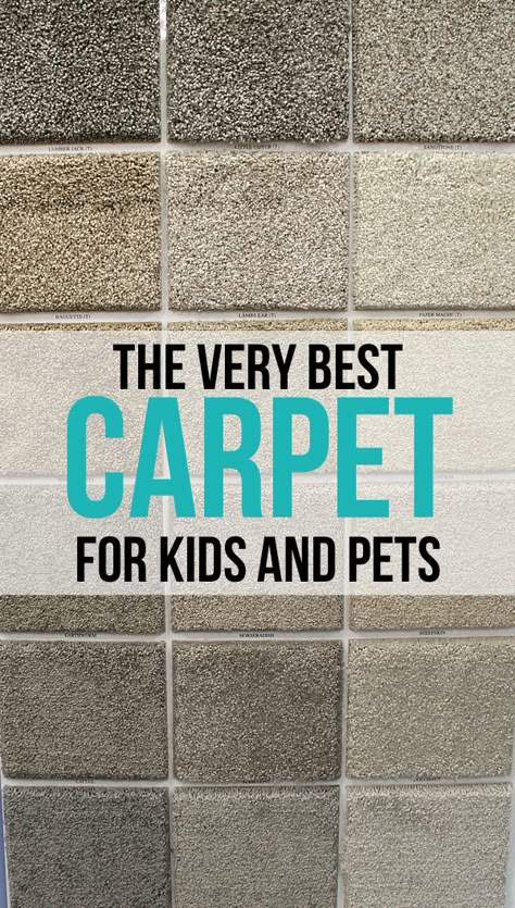 Carpet Diy, Basement Carpet, Neutral Carpet, Carpets For Kids, Carpet Stores, Kids And Pets, Date Photo, Home Carpet, Blue Carpet