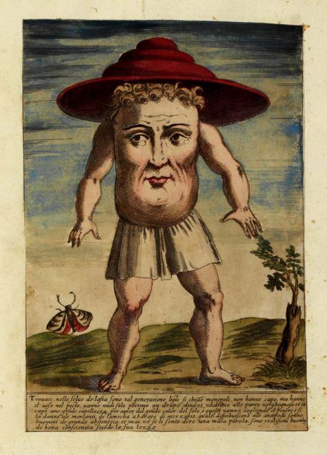 Ulisse Aldrovandi - 1595 Prester John, Medieval Animals, Medieval Drawings, Classical Art Memes, Medieval Artwork, Medieval Paintings, Bizarre Art, Zone 2, Illuminated Manuscripts